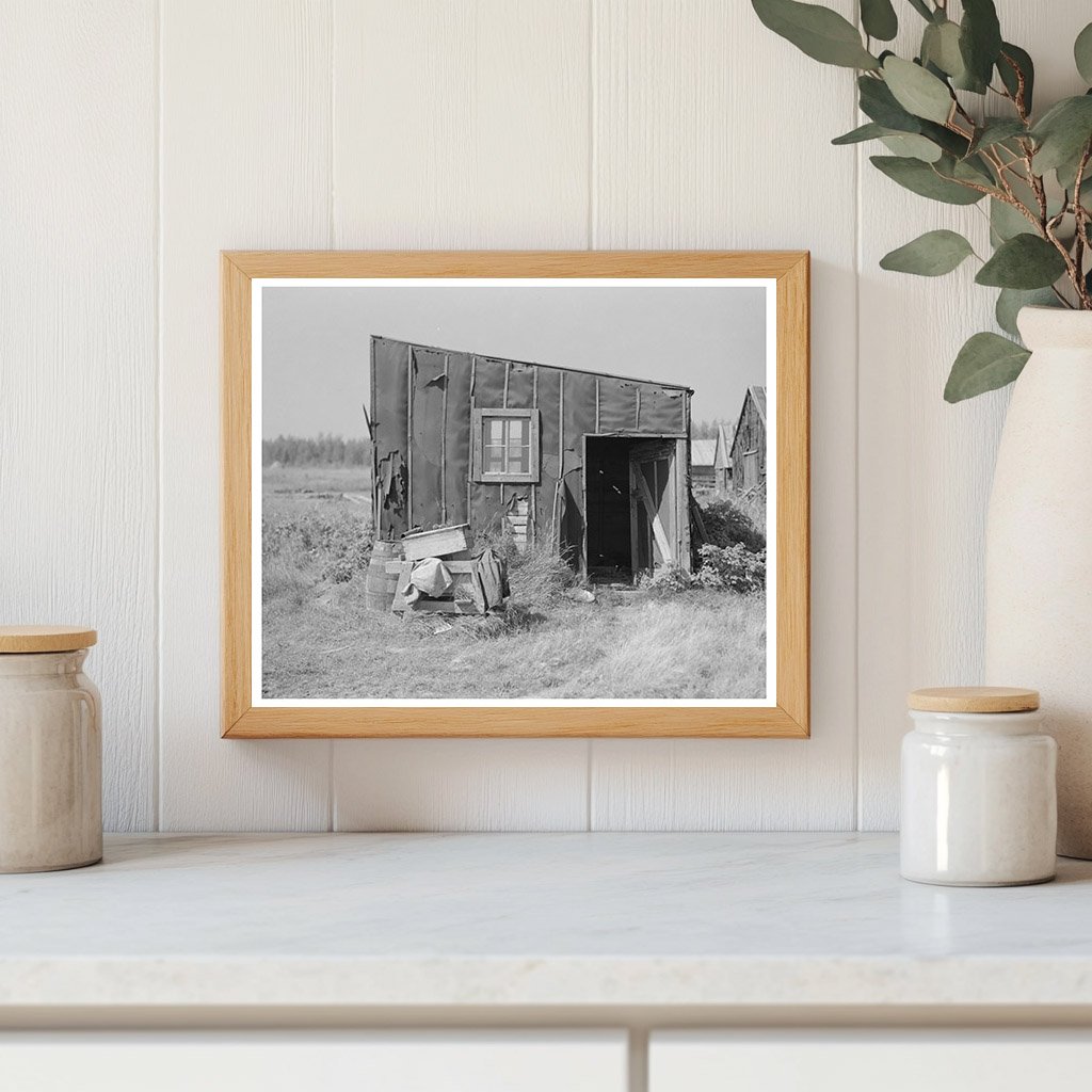 Tarpaper Dwelling in Abandoned Lumber Camp Gemmel 1937