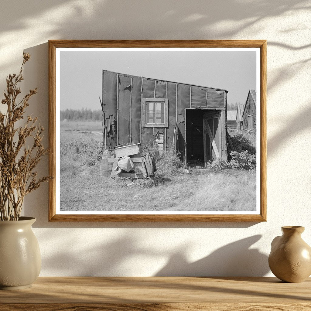 Tarpaper Dwelling in Abandoned Lumber Camp Gemmel 1937