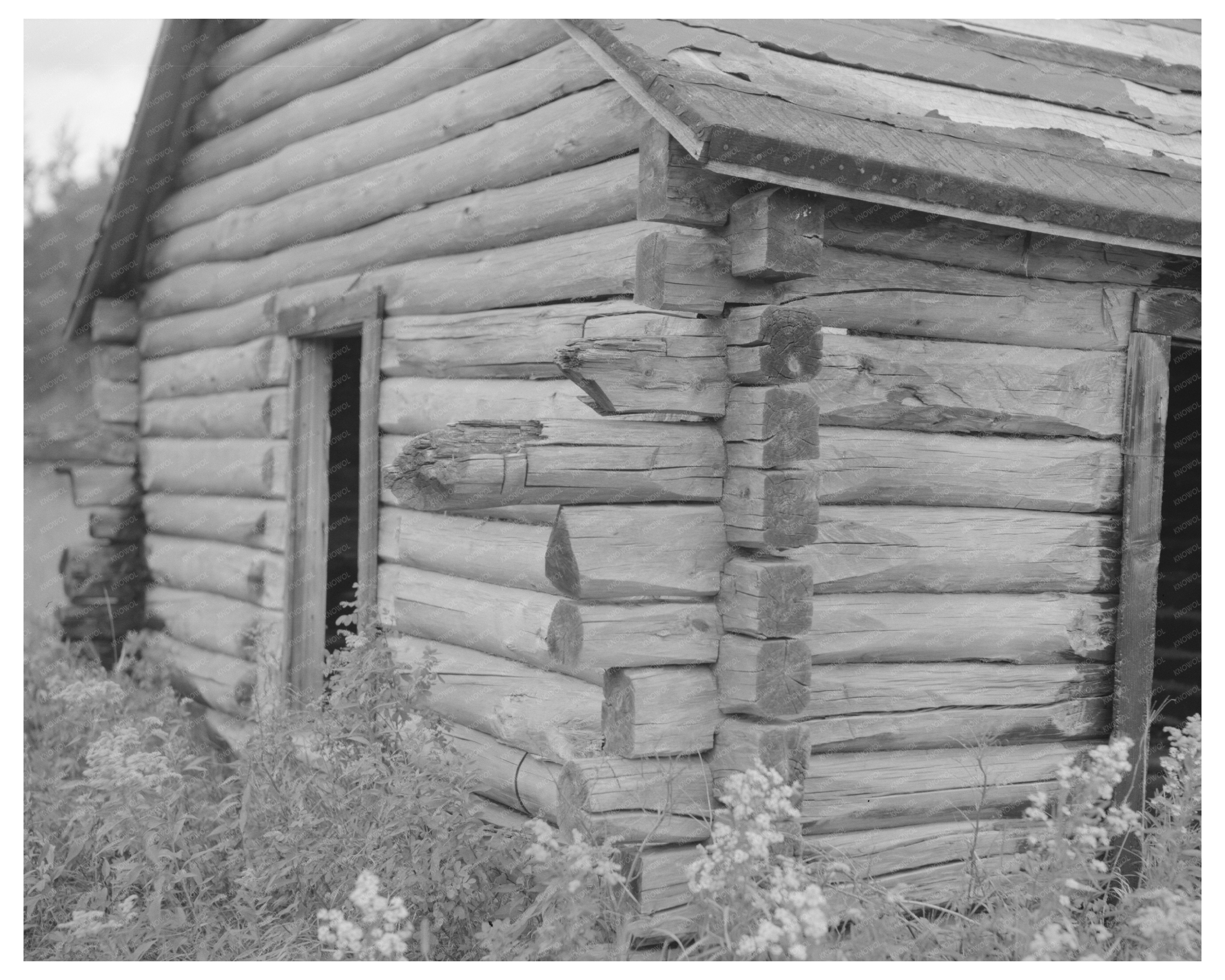 Vintage Log Cabin in Gheen Minnesota August 1937