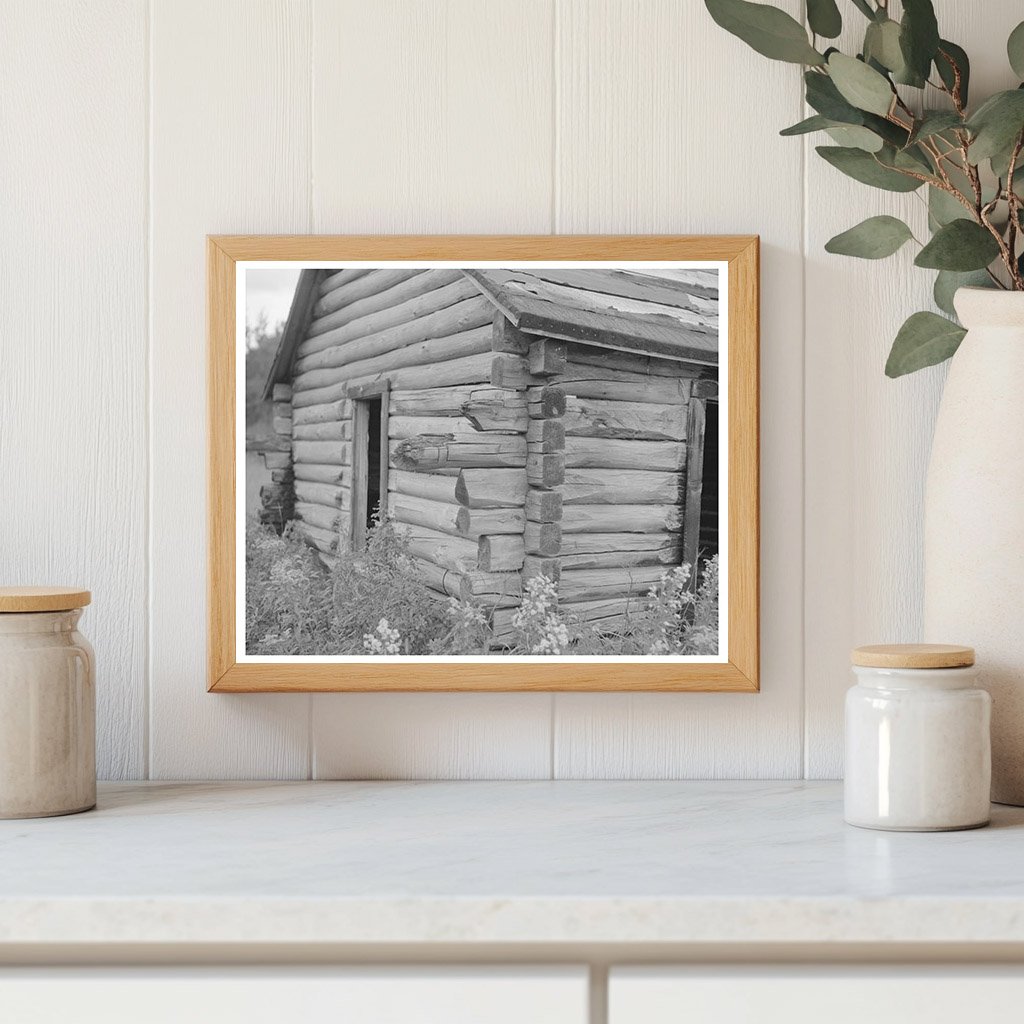 Vintage Log Cabin in Gheen Minnesota August 1937