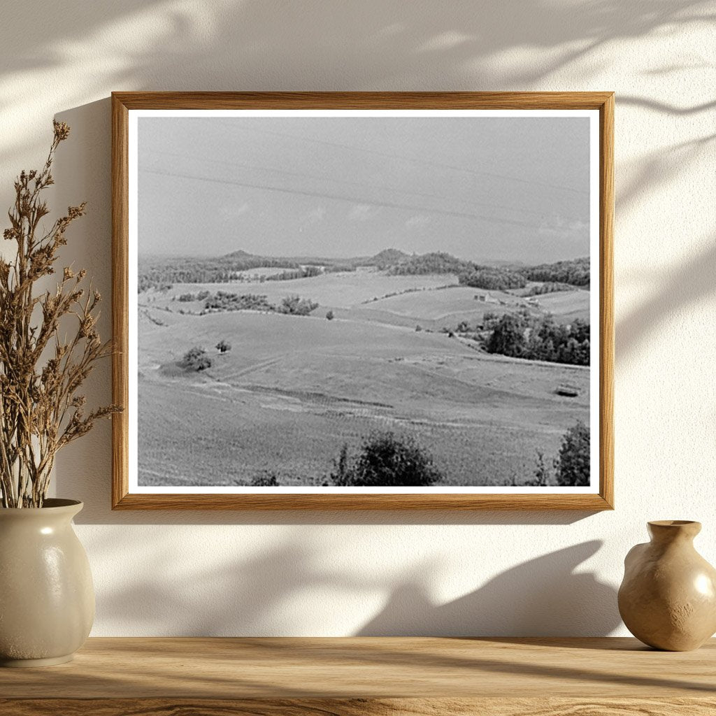 Rural Landscape in Jackson County Wisconsin 1937