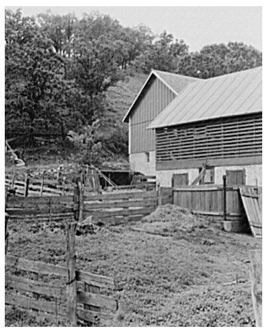Barnyard Scene in Dane County Wisconsin June 1937