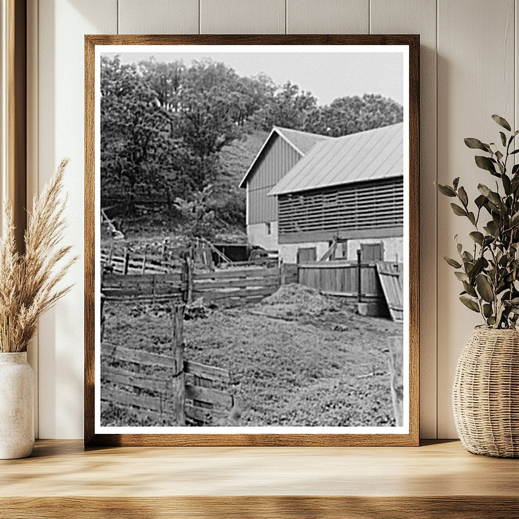 Barnyard Scene in Dane County Wisconsin June 1937