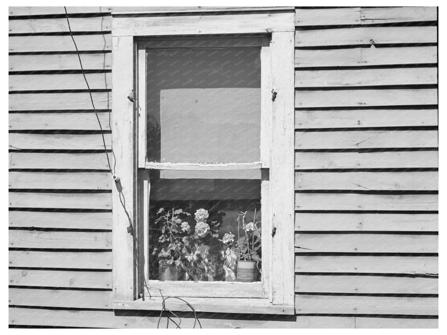 Ericsburg Minnesota House August 1937 FSA Collection