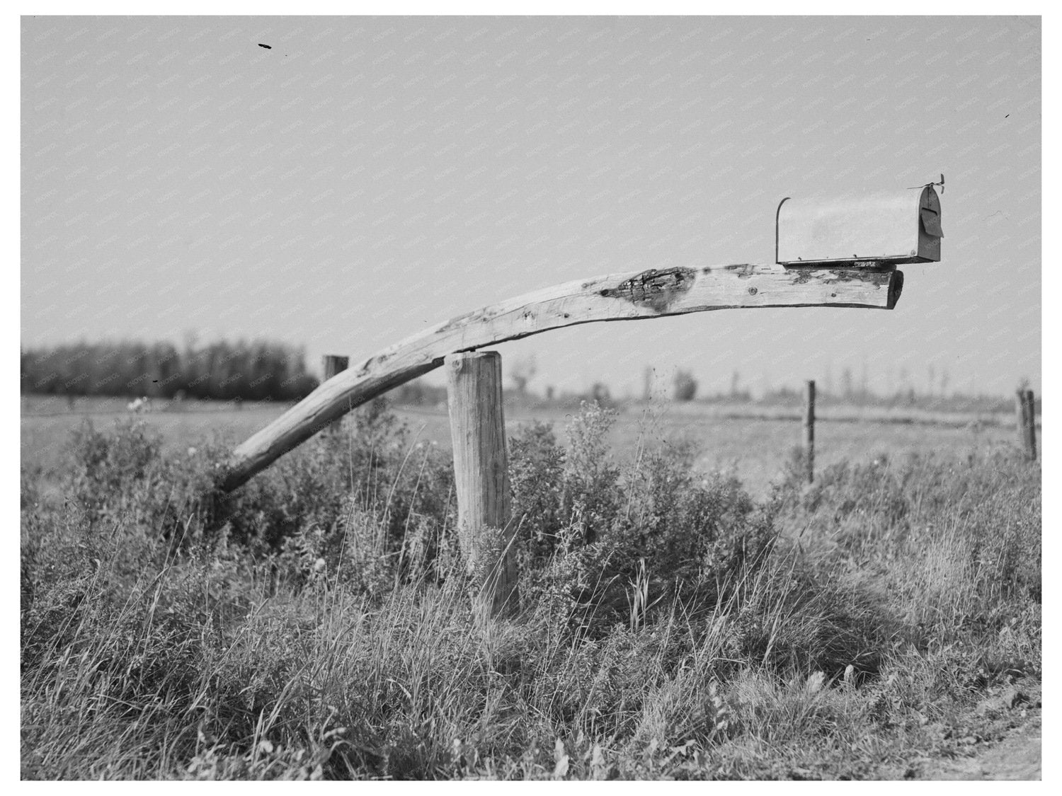 Vintage Farm Mailbox Littlefork Minnesota 1937