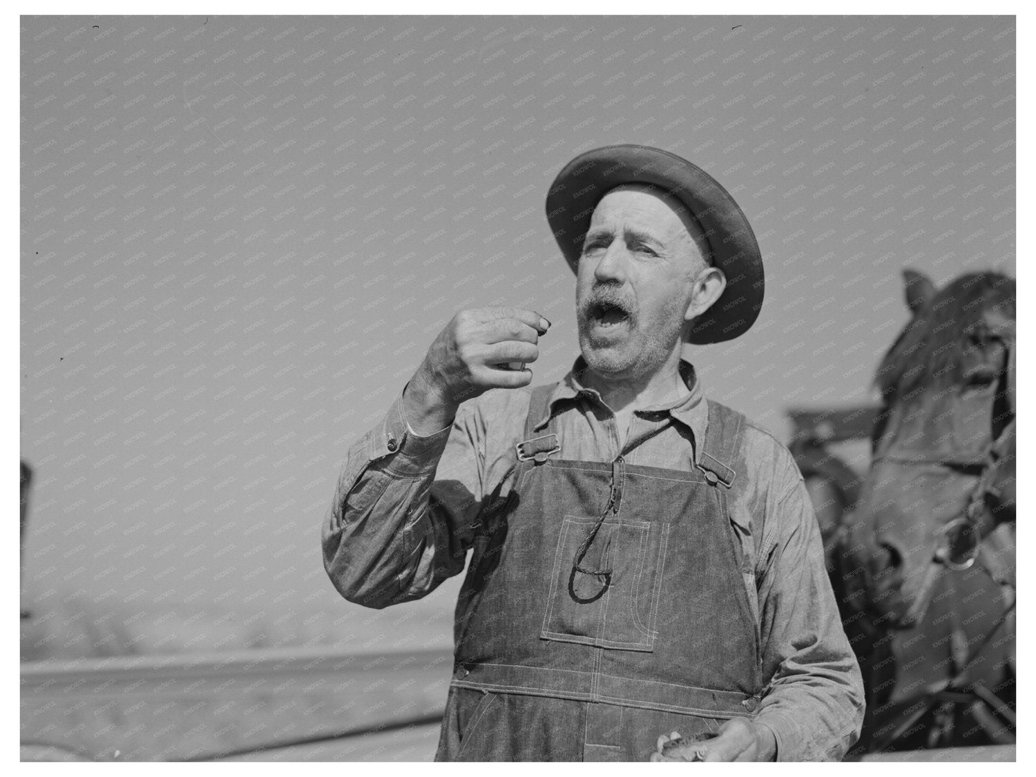 Cut-Over Farmer Taking Snuff Littlefork Minnesota 1937