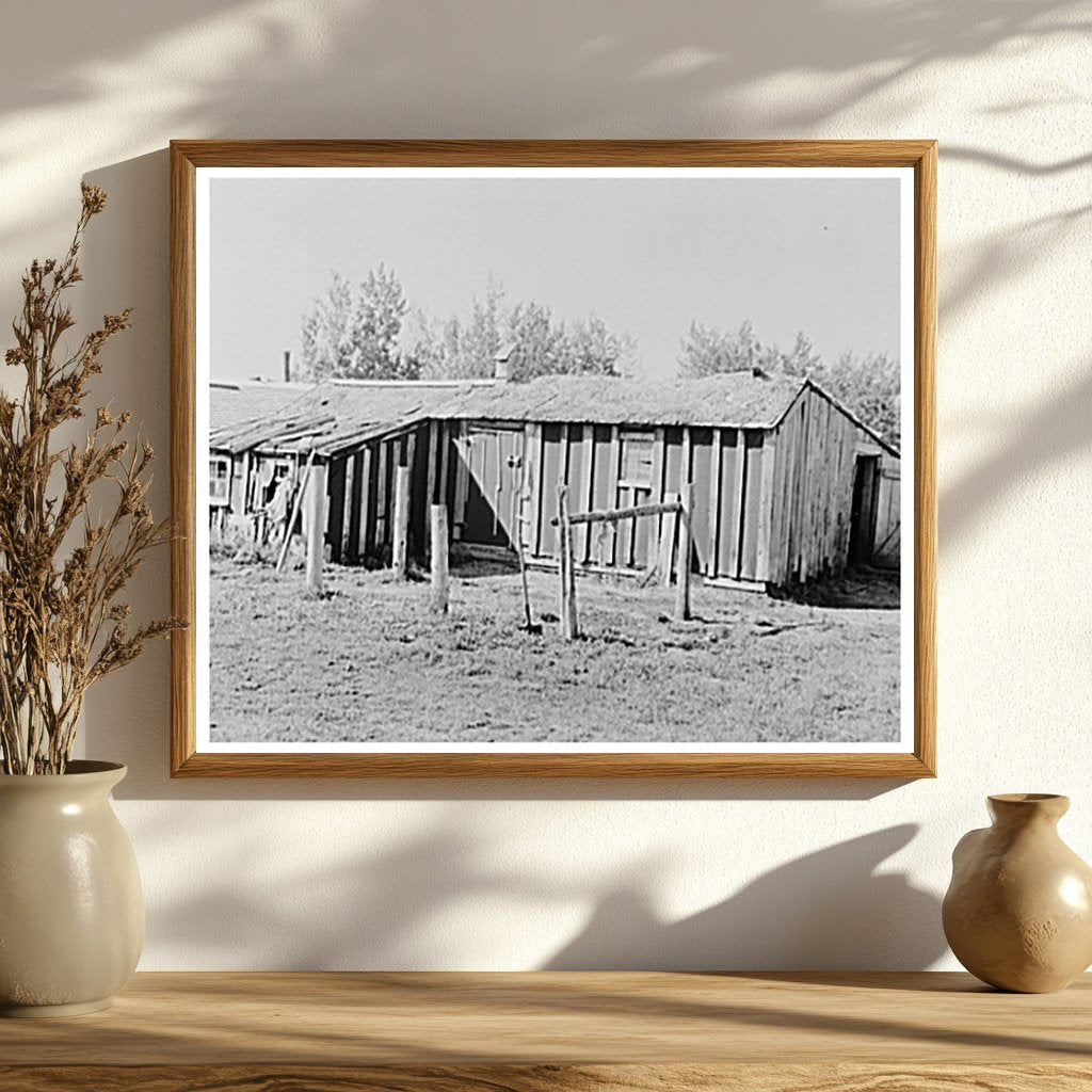 Vintage Barn on Cut-Over Farm Littlefork Minnesota 1937