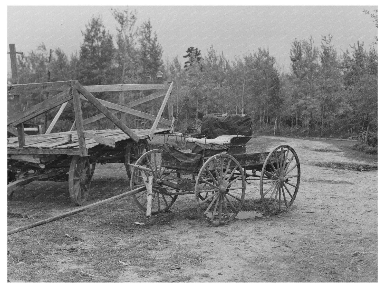 Democrat Wagon on Farm in Northome Minnesota 1937