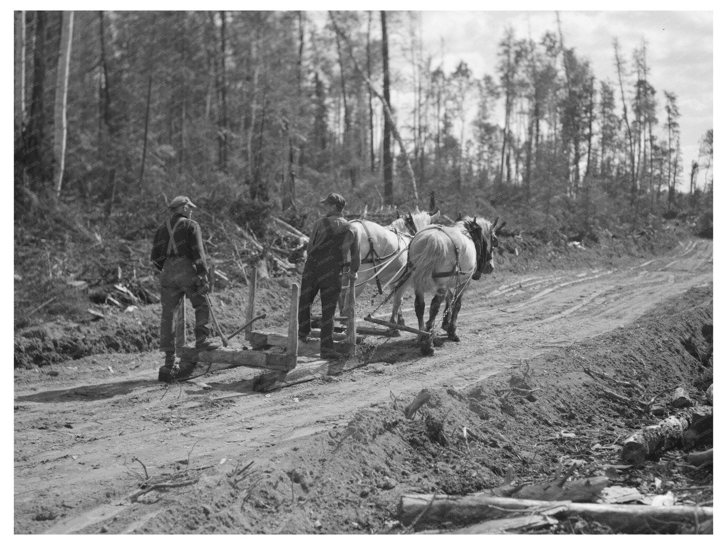 Logging Camp Scene Effie Minnesota September 1937