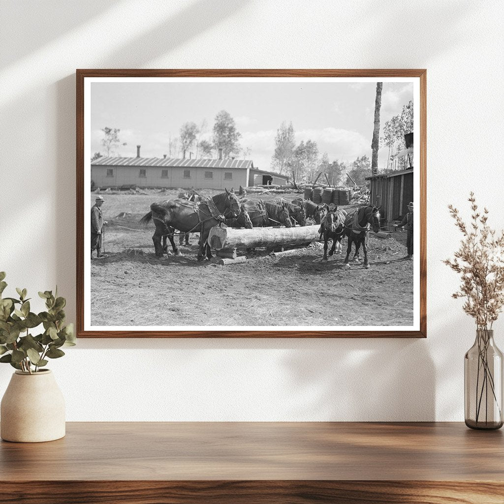 Horses Watering at Lumber Camp Effie Minnesota 1937