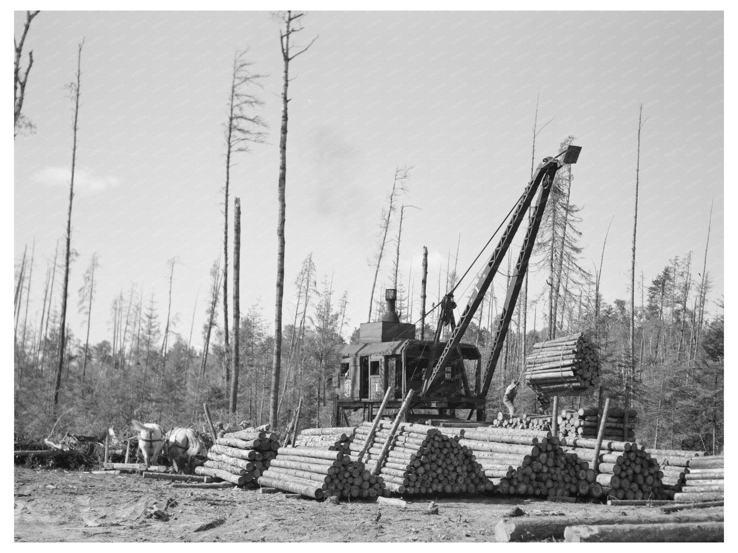 Lumberjacks Loading Logs onto Trains Effie Minnesota 1937