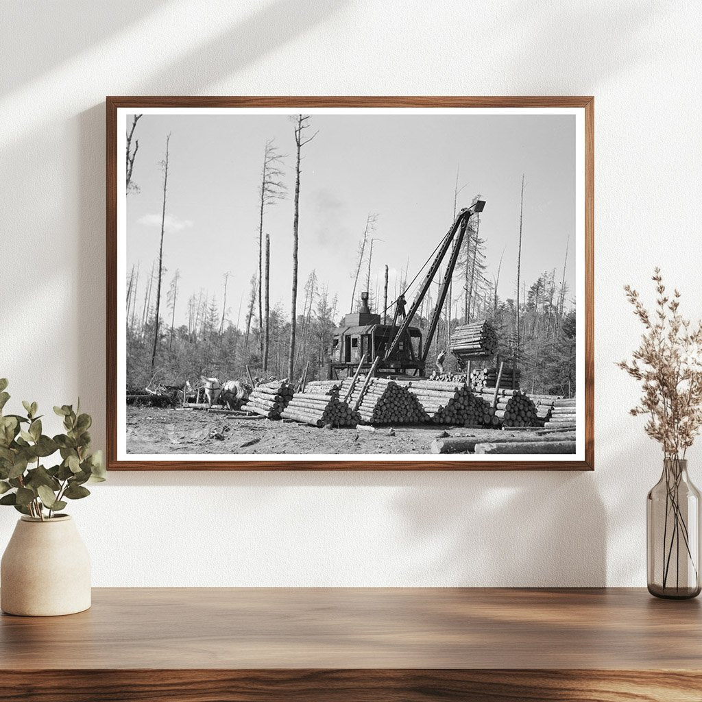Lumberjacks Loading Logs onto Trains Effie Minnesota 1937