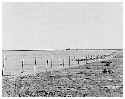 Drought Impact on Agriculture in Williams County 1937