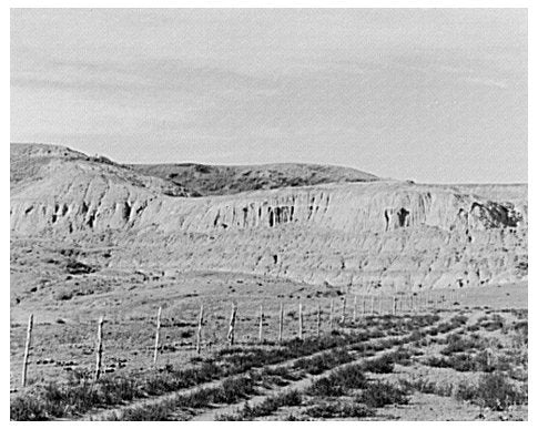 Vintage Landscape of Drought in Williams County 1937