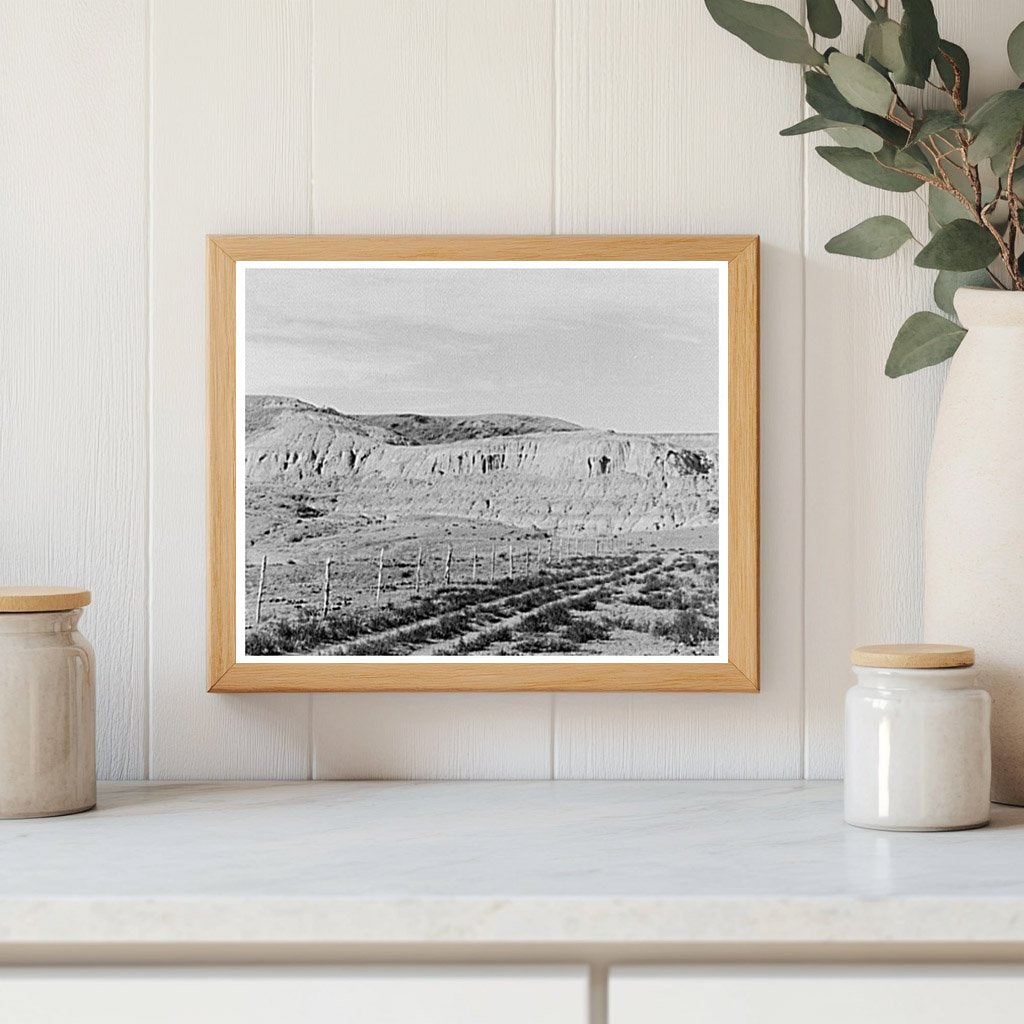 Vintage Landscape of Drought in Williams County 1937