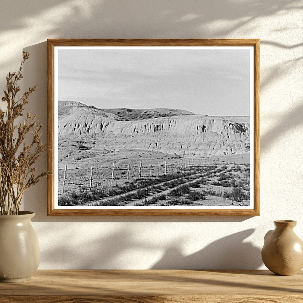 Vintage Landscape of Drought in Williams County 1937