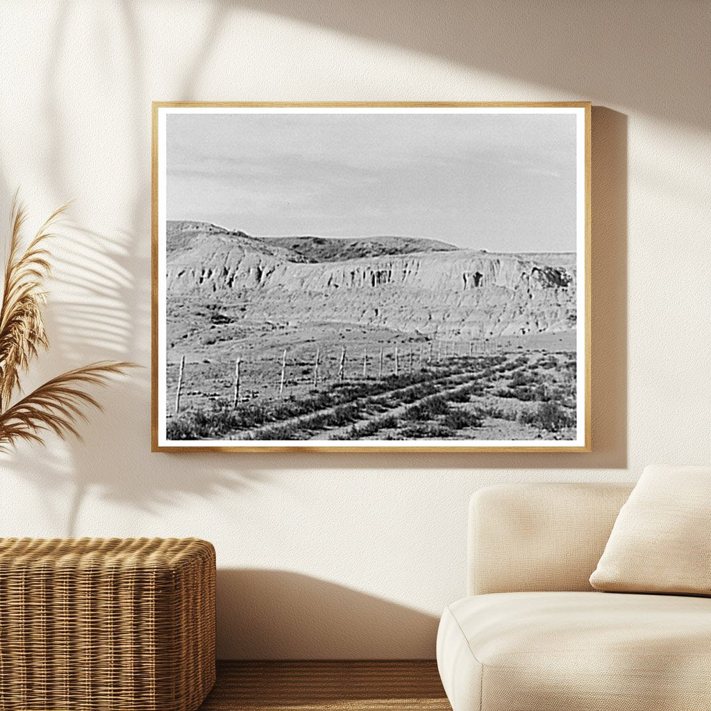 Vintage Landscape of Drought in Williams County 1937