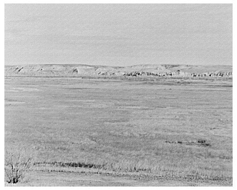 Drought Effects on McKenzie County Grassland 1937