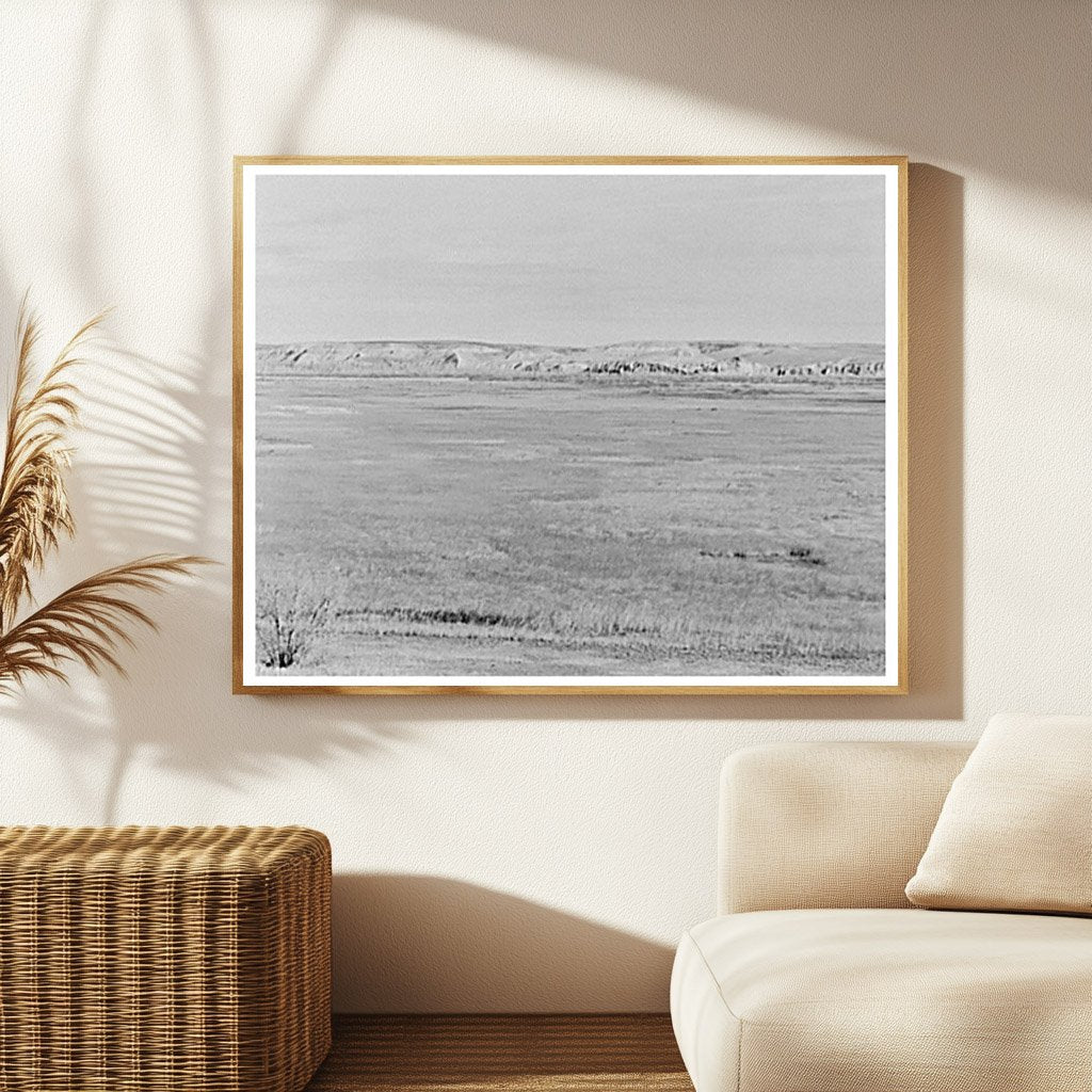 Drought Effects on McKenzie County Grassland 1937