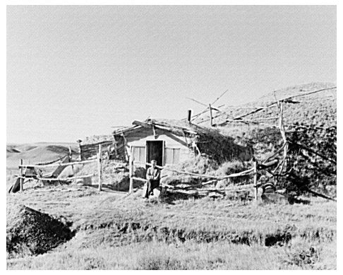 Hominy Thompson in Sheridan County Montana 1937