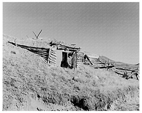 Hominy Thompson in Root Cellar Sheridan County Montana 1937