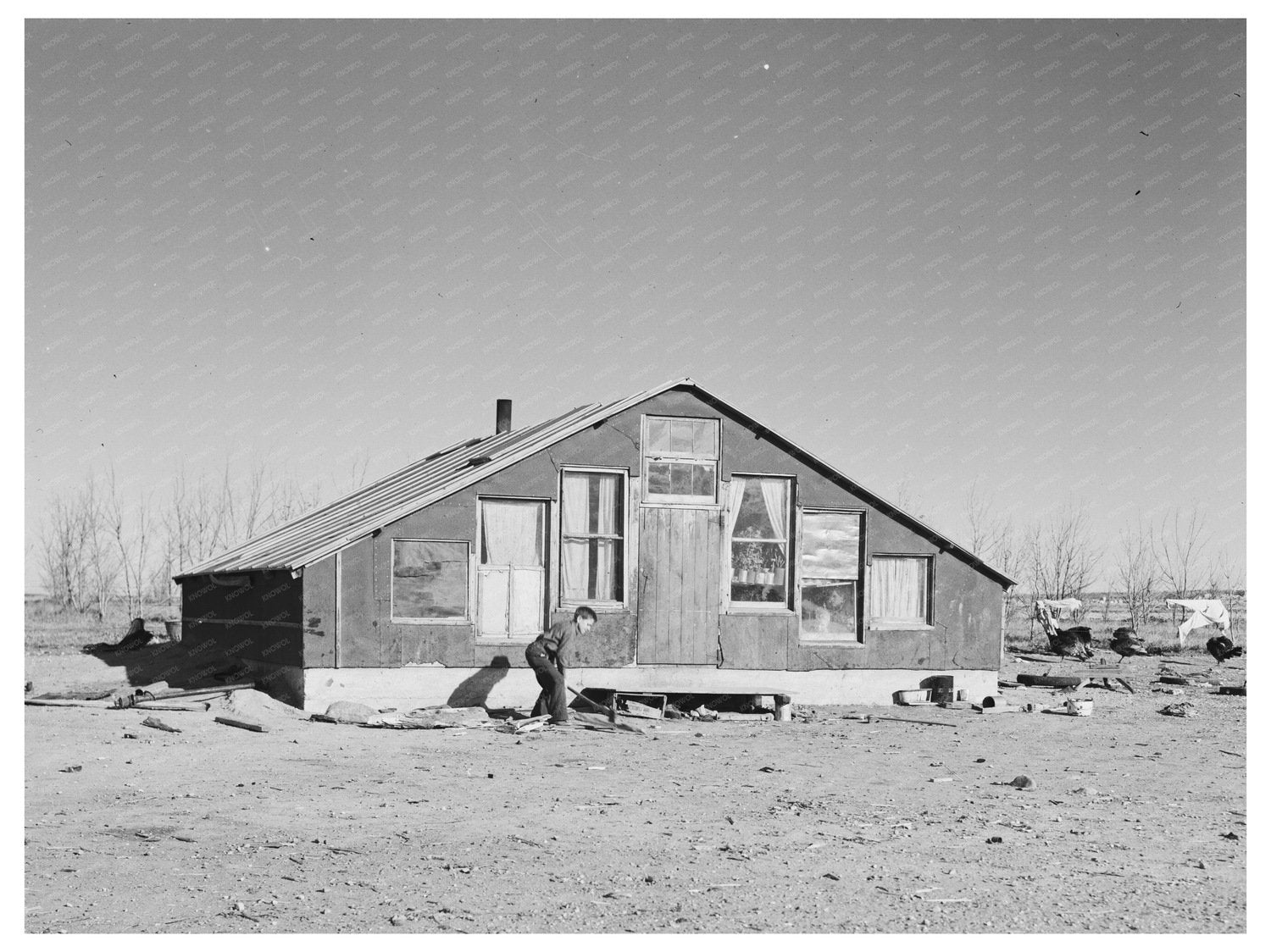 Mennonite Farm Home in Sheridan County Montana 1937