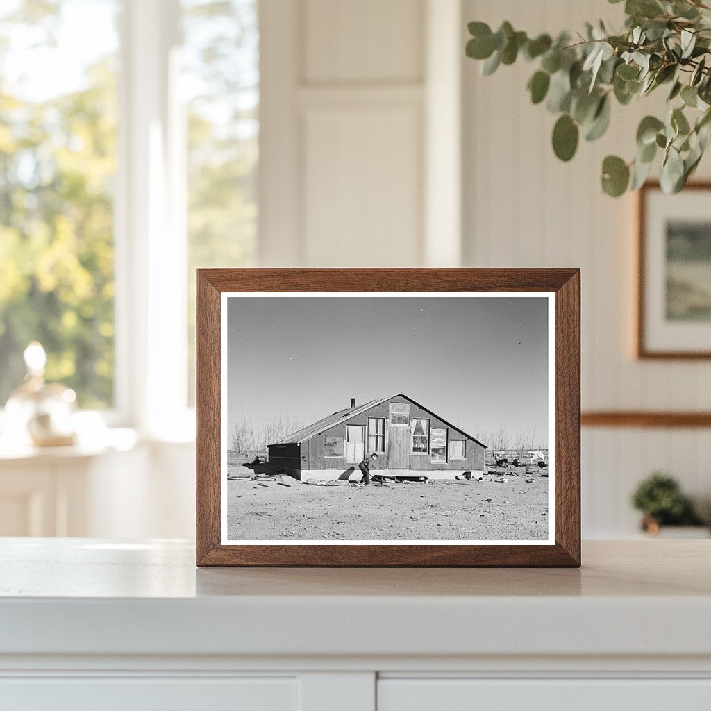 Mennonite Farm Home in Sheridan County Montana 1937