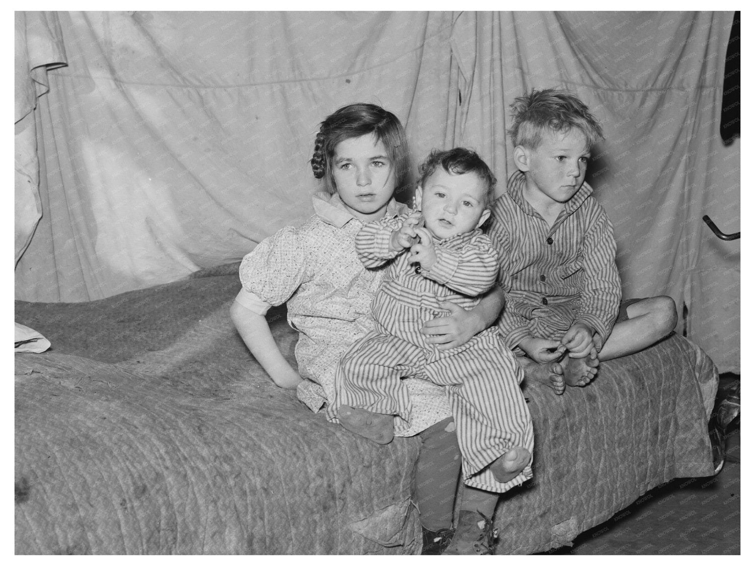 Harshbarger Children Vintage Photo 1937 Montana Farm Life