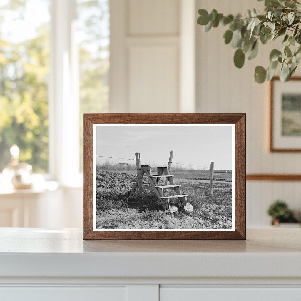 Crossing a Barbed Wire Fence in Montana 1937