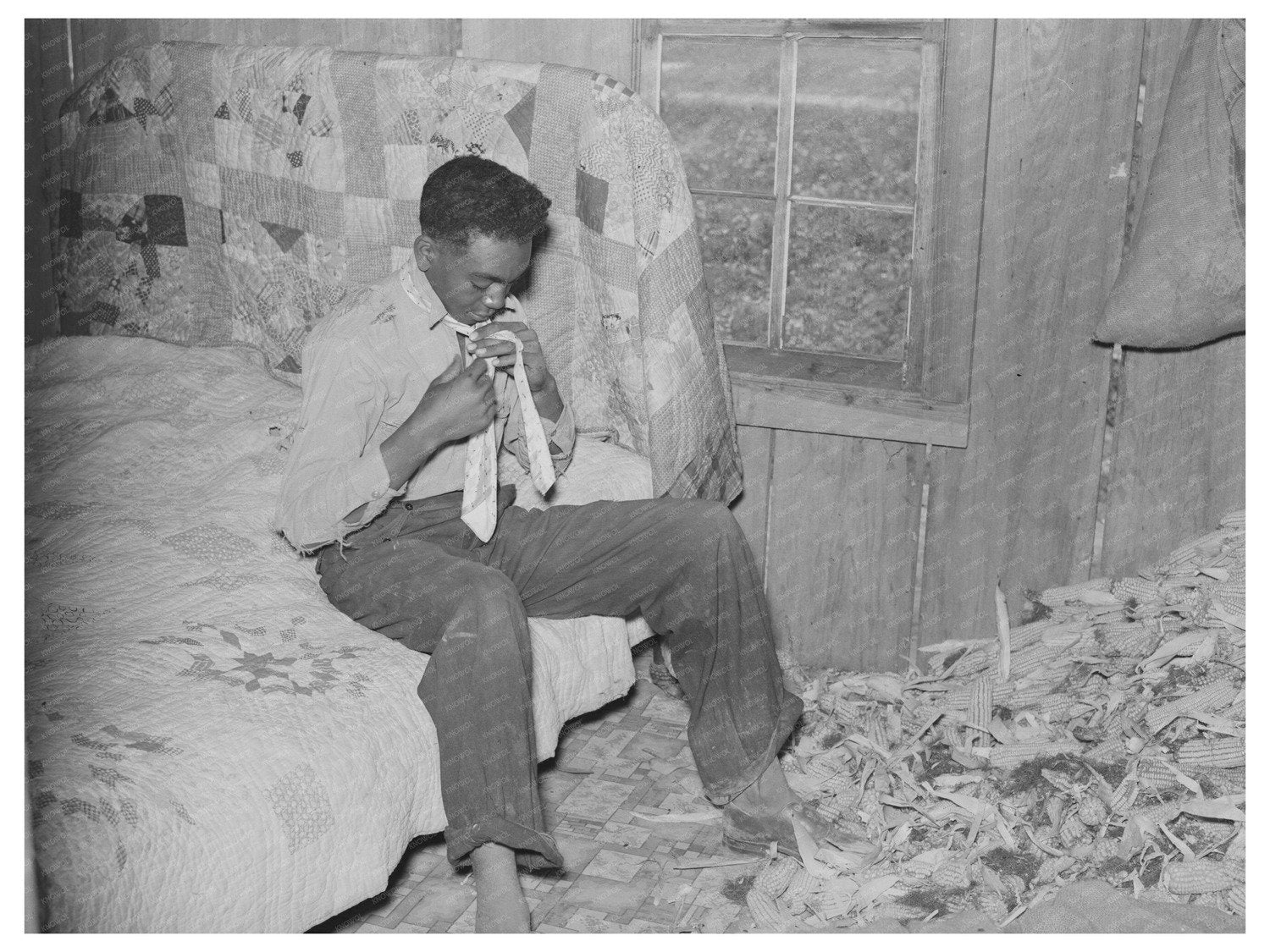 Son of Sharecropper in Missouri May 1938 Image