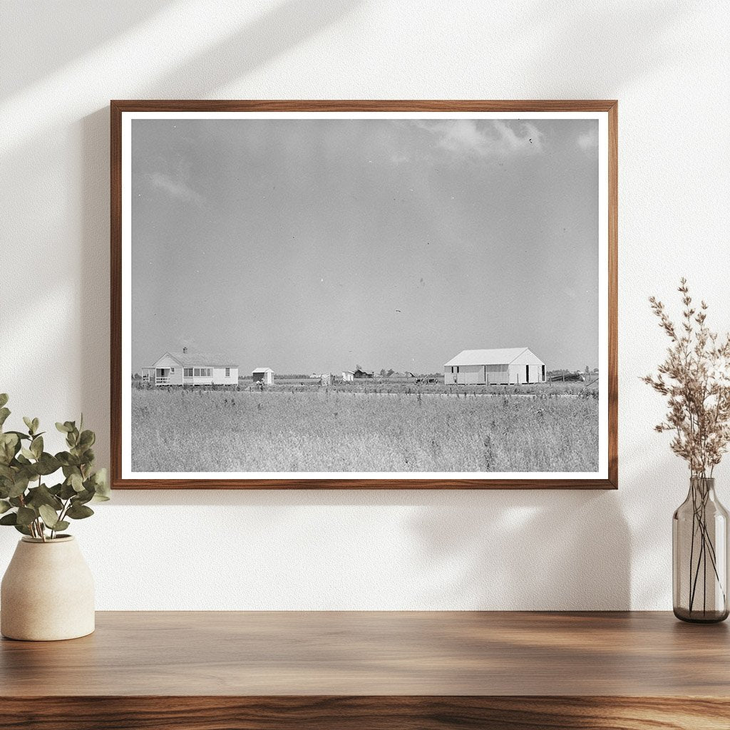 Southeast Missouri Farms New Madrid County May 1938