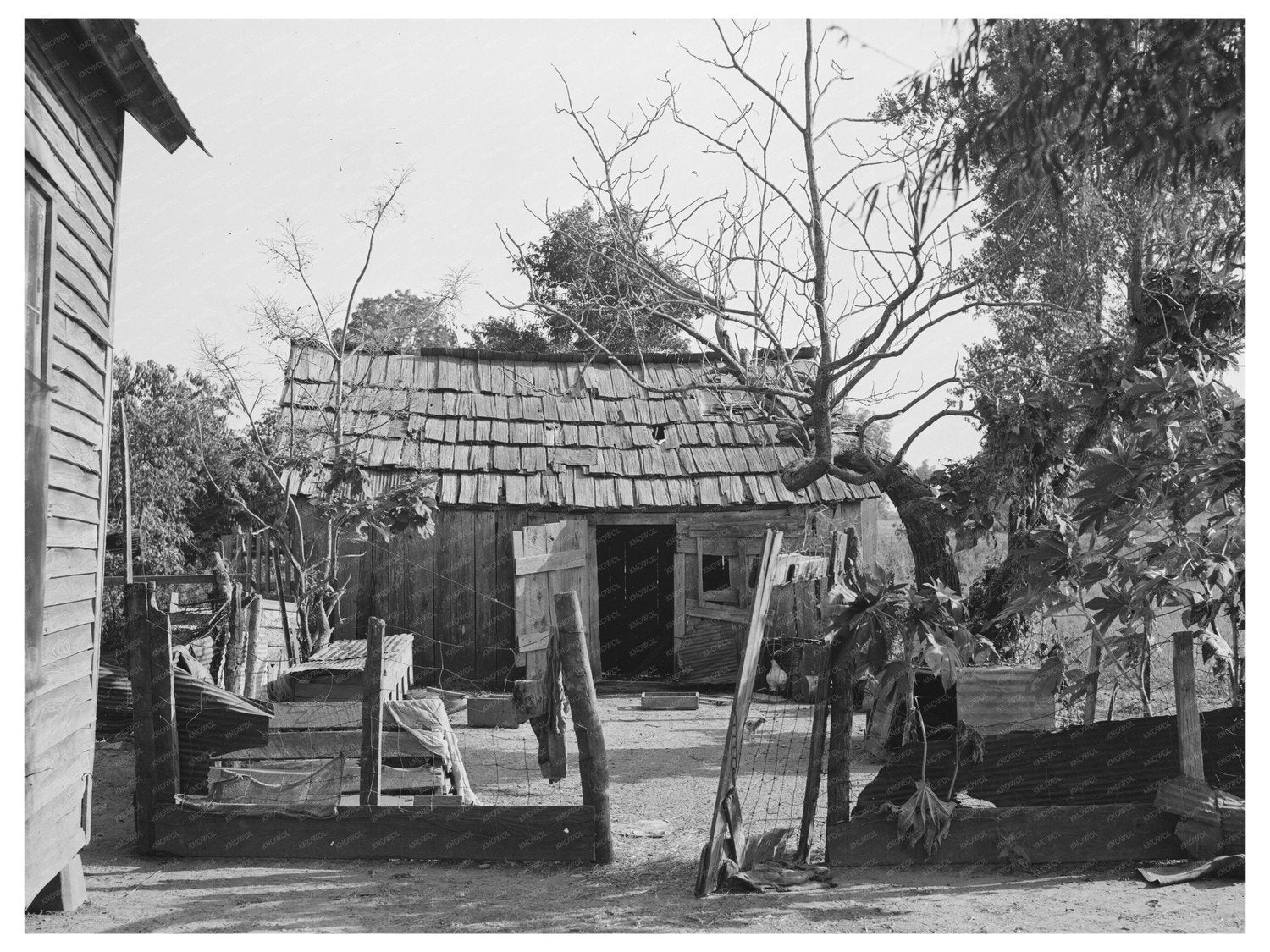 Sharecropper Home Backyard Caruthersville Missouri 1938