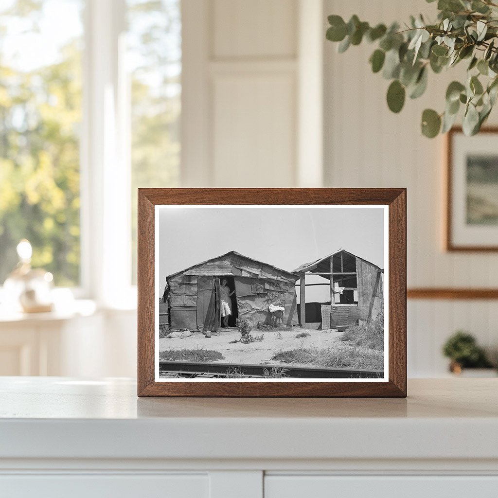 Shack Home in Tin Town Caruthersville Missouri 1938