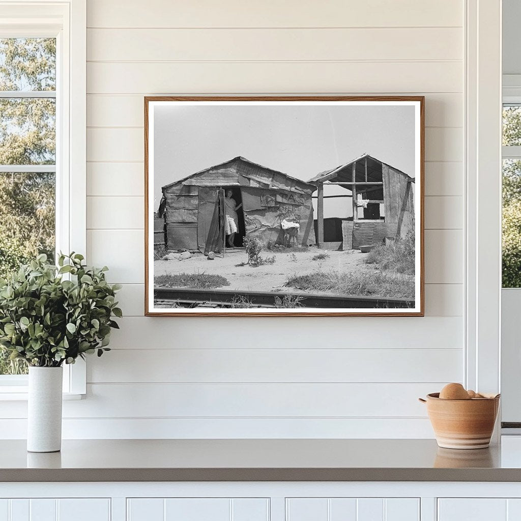 Shack Home in Tin Town Caruthersville Missouri 1938