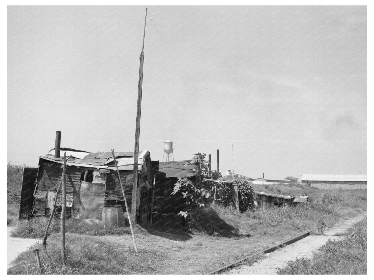 Tin Town Shacks Caruthersville Missouri August 1938