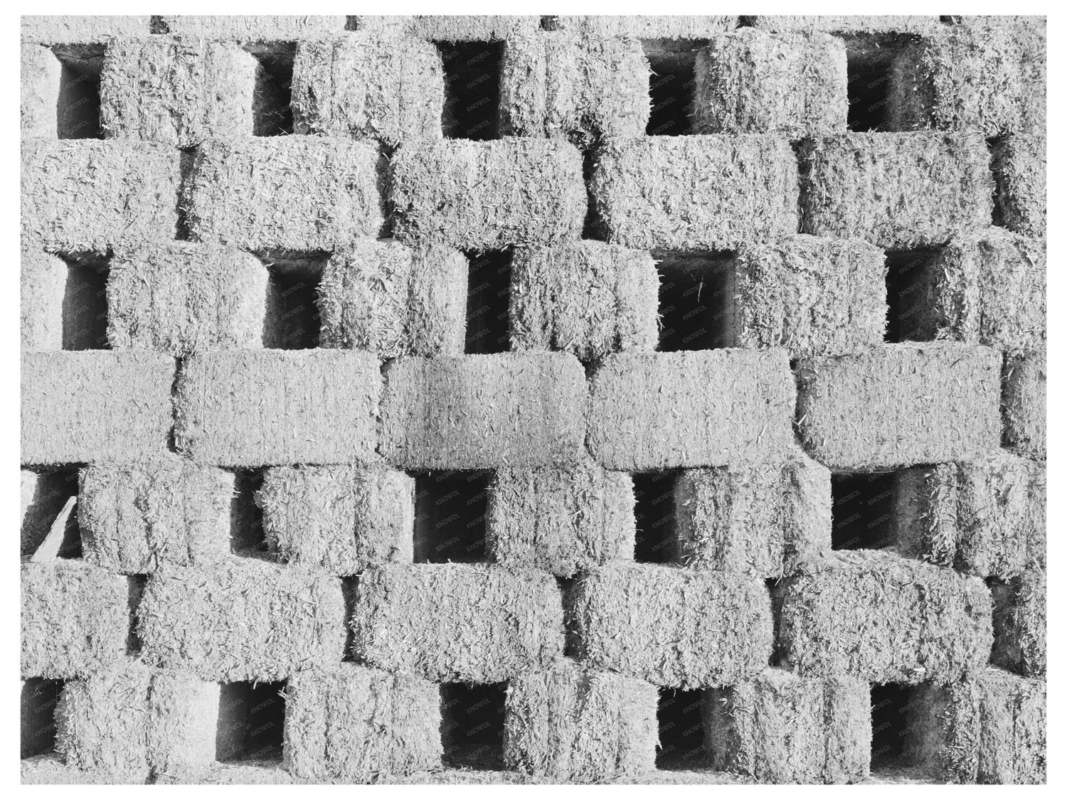 Sugar Bagasse Processing in Raceland Louisiana 1938