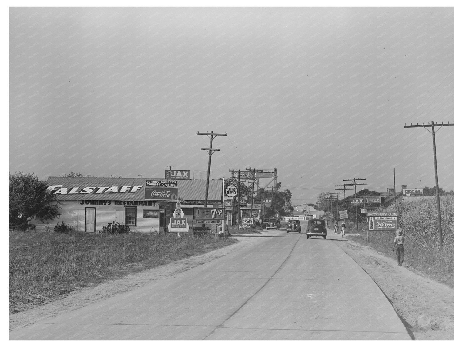 Highway in Raceland Louisiana Landscape September 1938