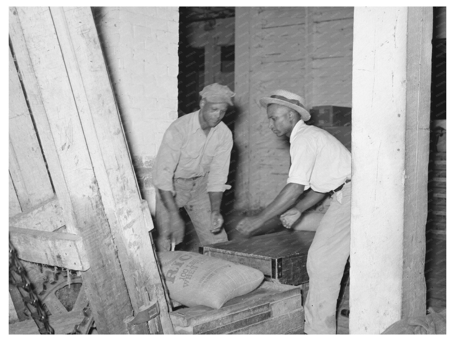 Rice Conveyors in Abbeville Louisiana 1938