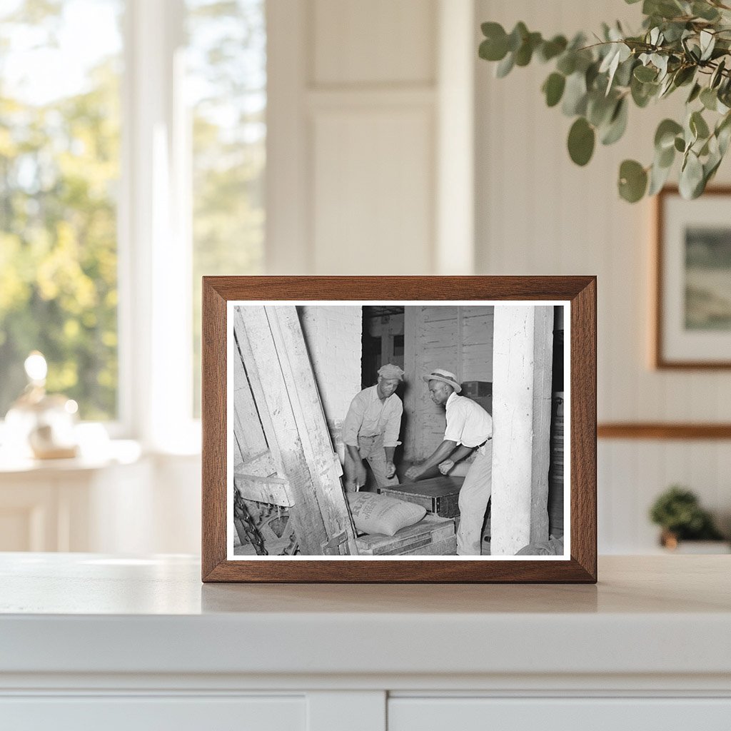 Rice Conveyors in Abbeville Louisiana 1938