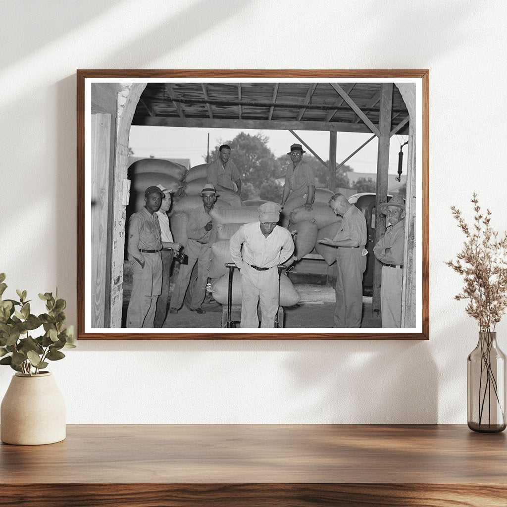 Unloading Rice at Vermilion Parish Ricemill 1938