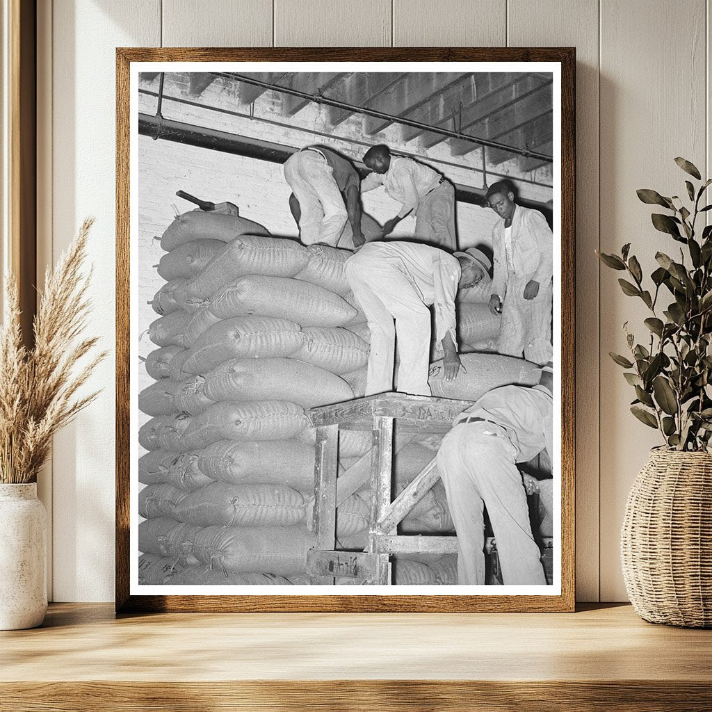 Stacking Strawrice in Abbeville Louisiana September 1938