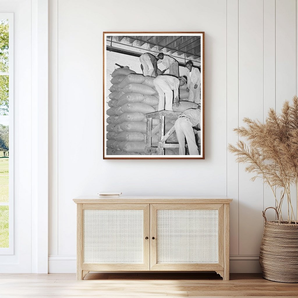 Stacking Strawrice in Abbeville Louisiana September 1938