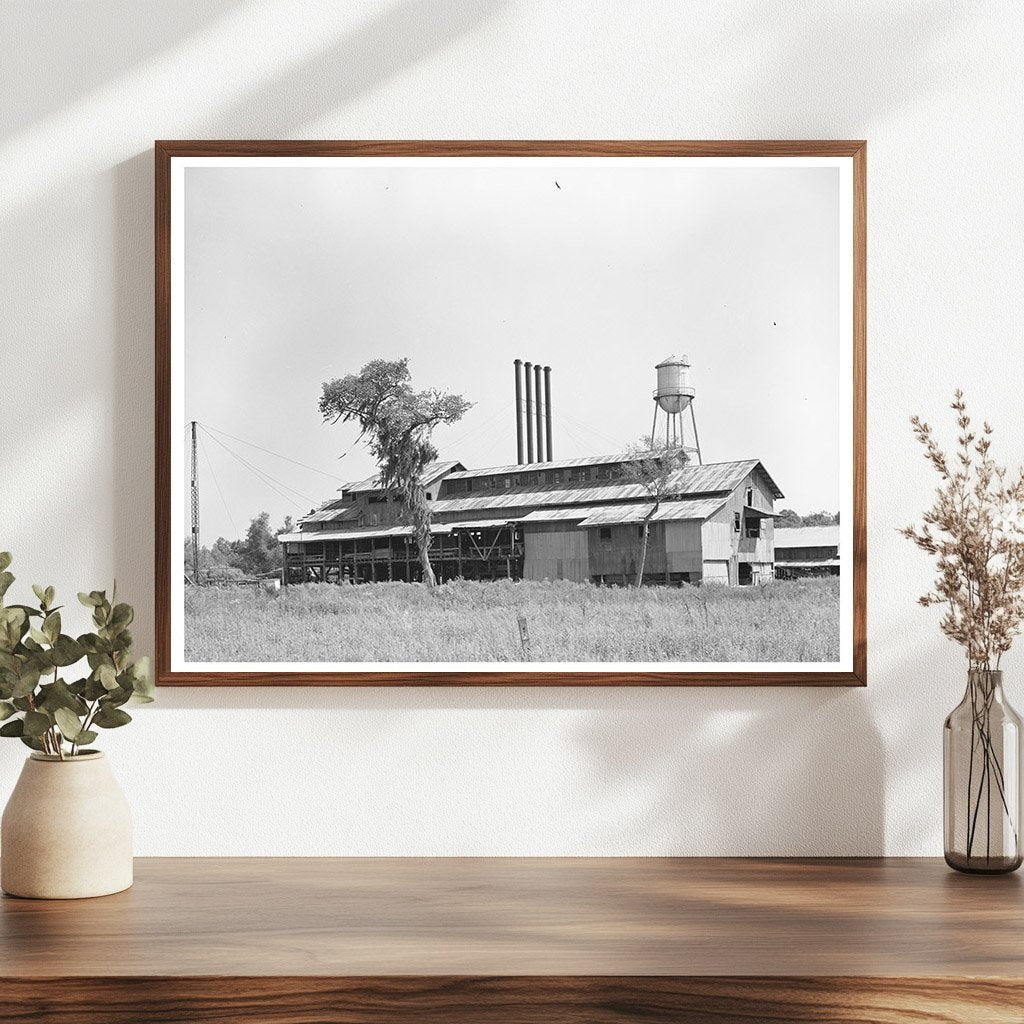 Sorrento Louisiana Lumber Mill October 1938 Image