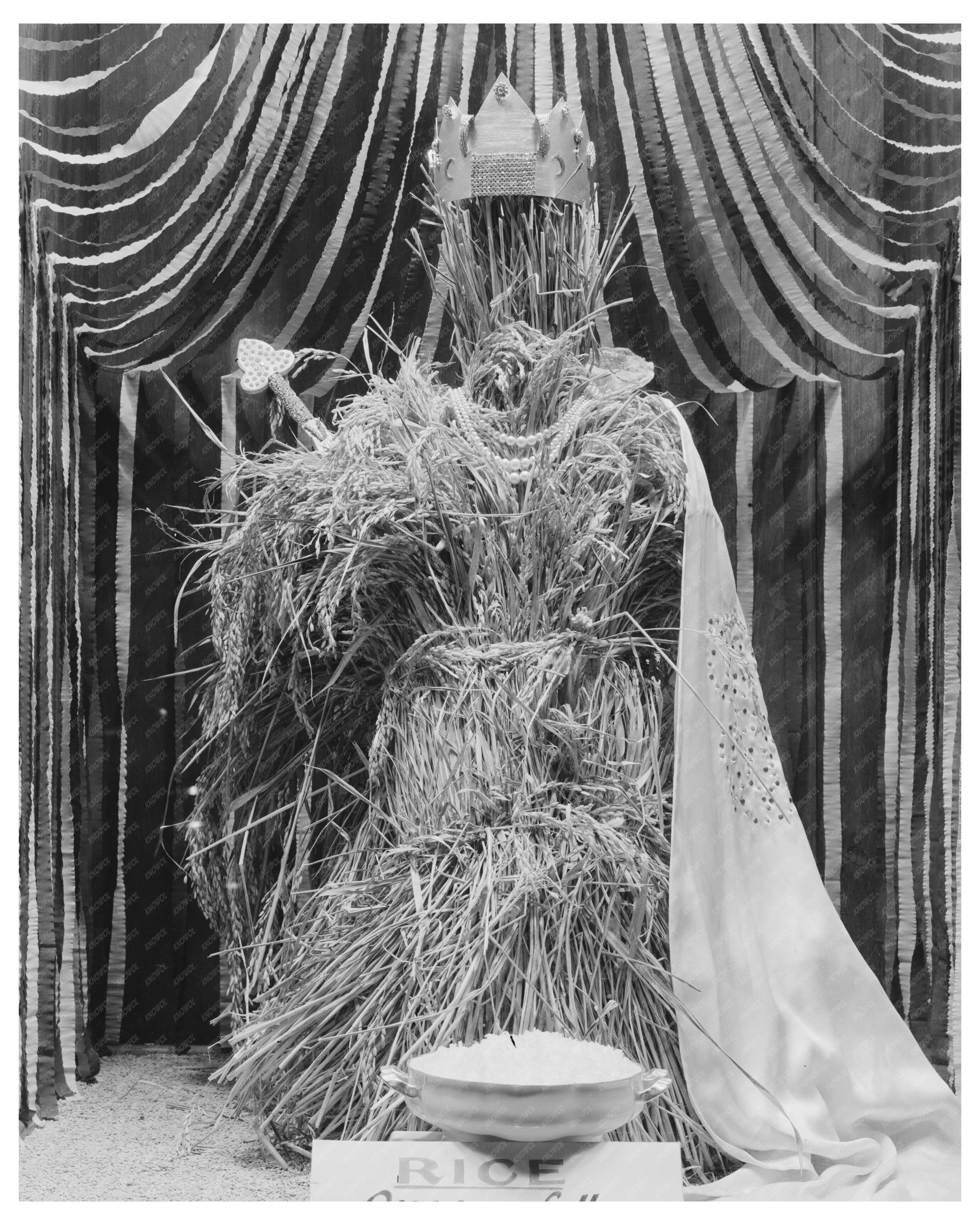 National Rice Festival Display Window Crowley Louisiana 1938