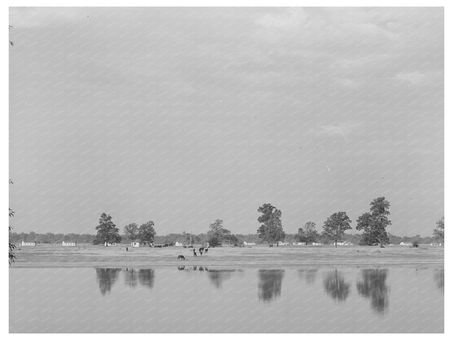 Lake Dick Project Arkansas 1938 Vintage Landscape Photo