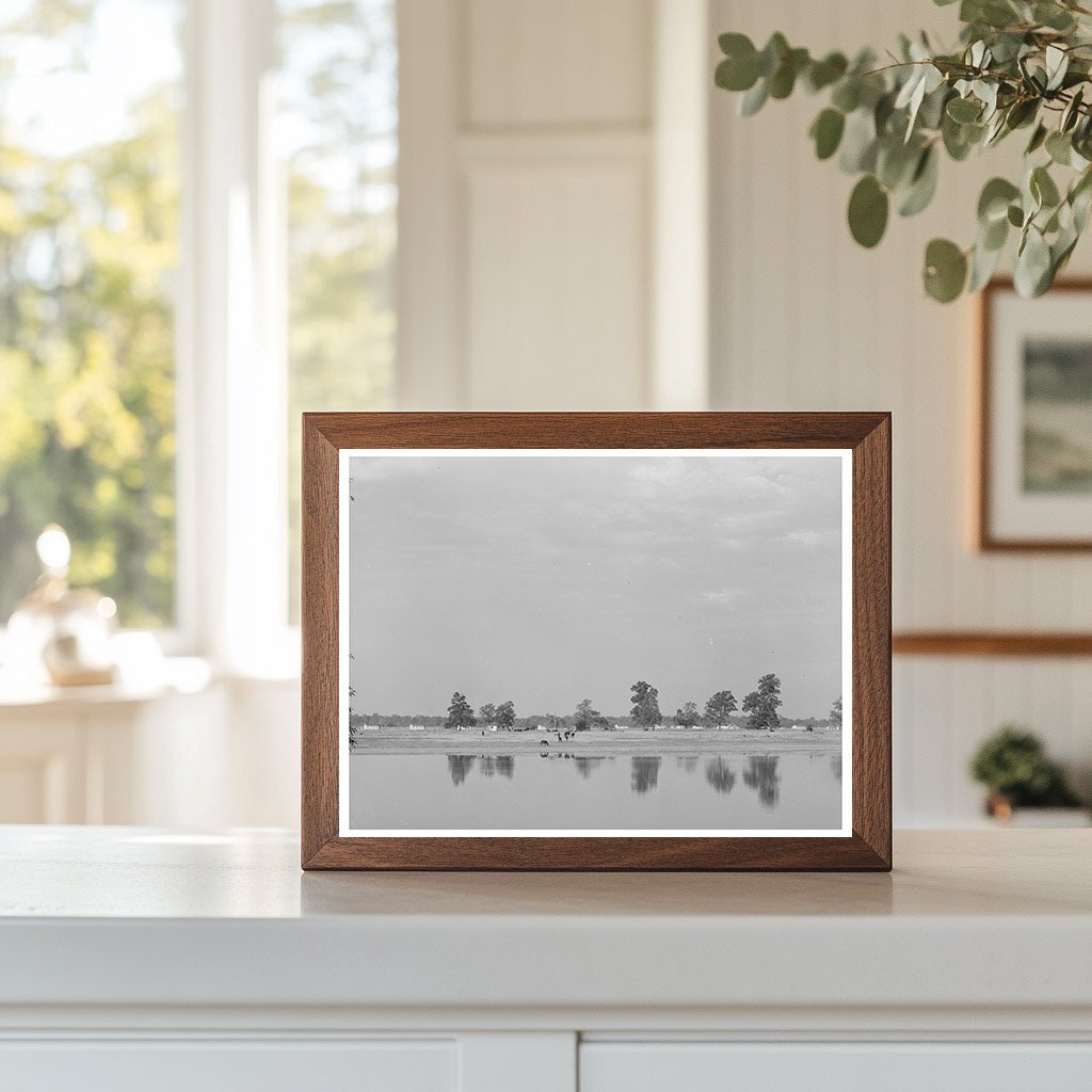 Lake Dick Project Arkansas 1938 Vintage Landscape Photo