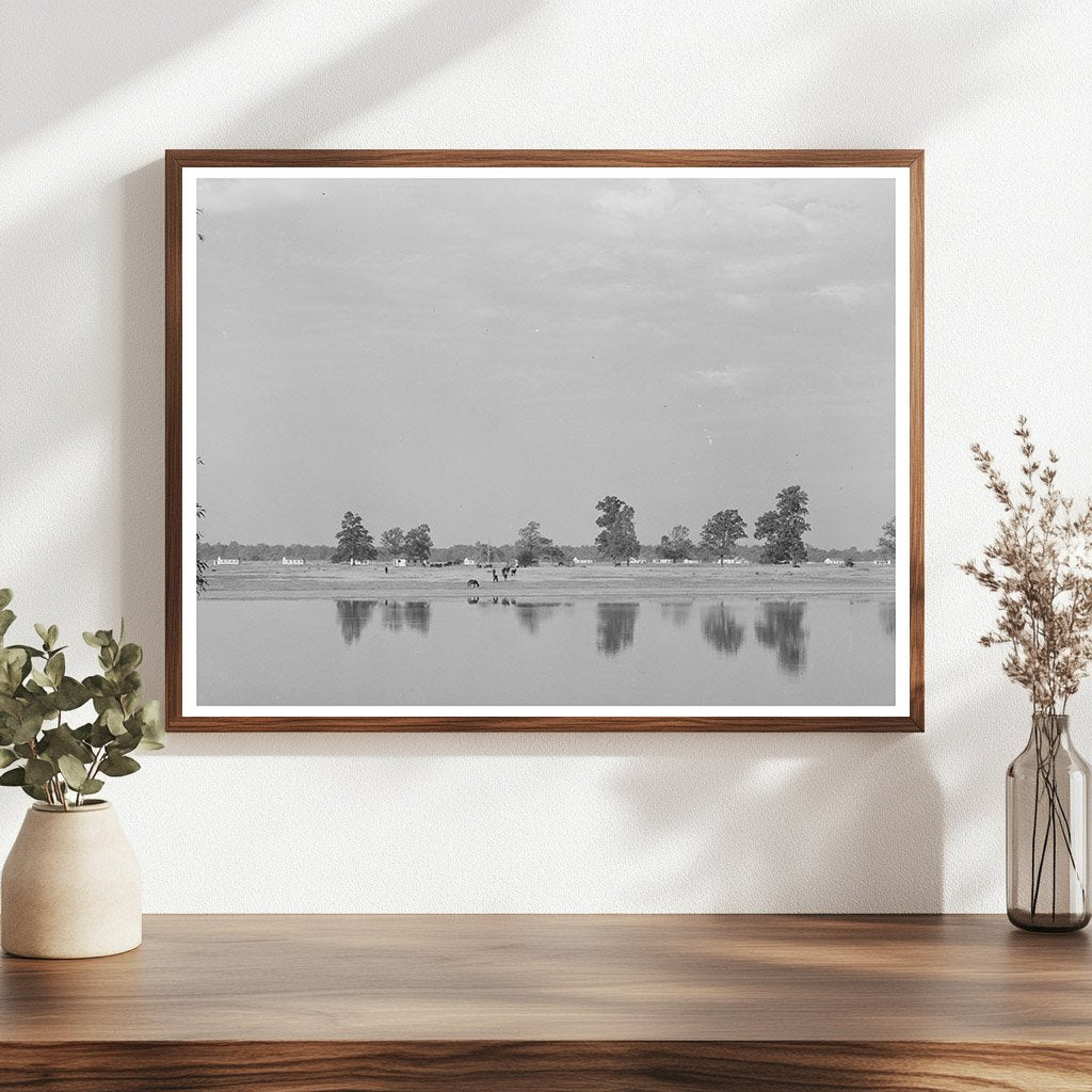 Lake Dick Project Arkansas 1938 Vintage Landscape Photo