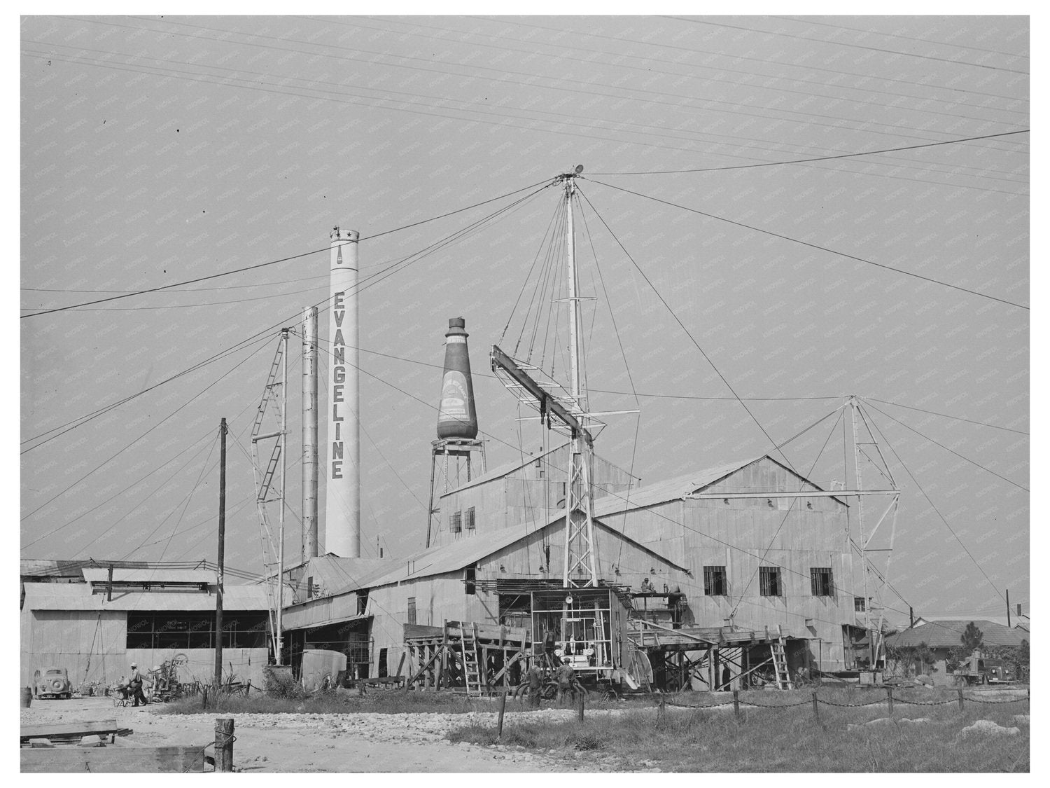 Evangeline Hot Sauce Farms in Saint Martinville 1938