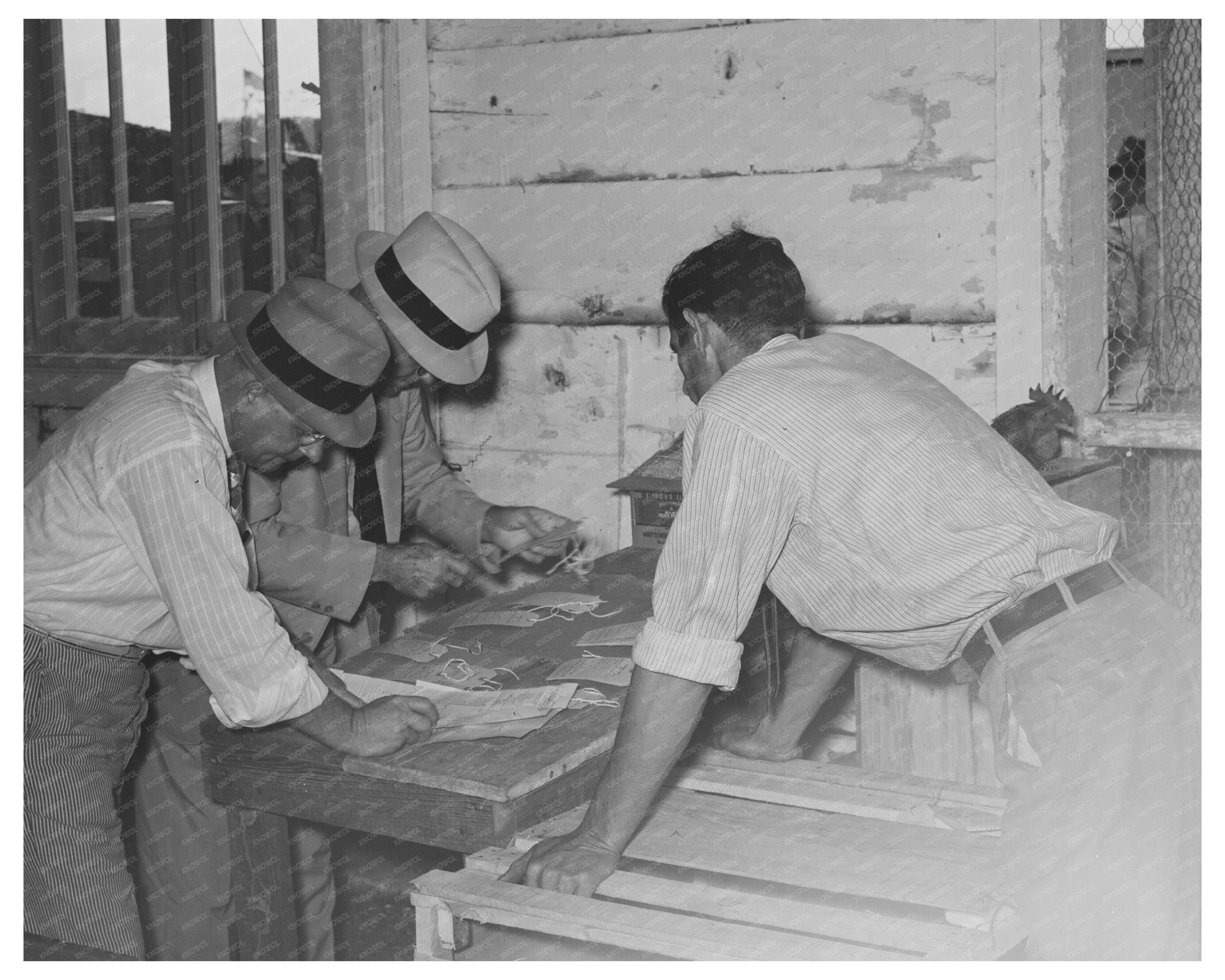 South Louisiana State Fair Tagging Exhibits 1938
