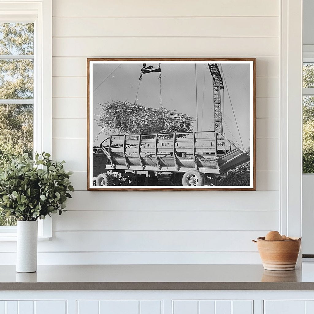 Sugarcane Unloading at Louisiana Sugar Mill 1938